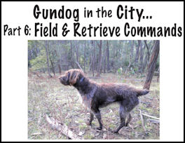 Gundog in the City  - page 120 Issue 77 (click the pic for an enlarged view)